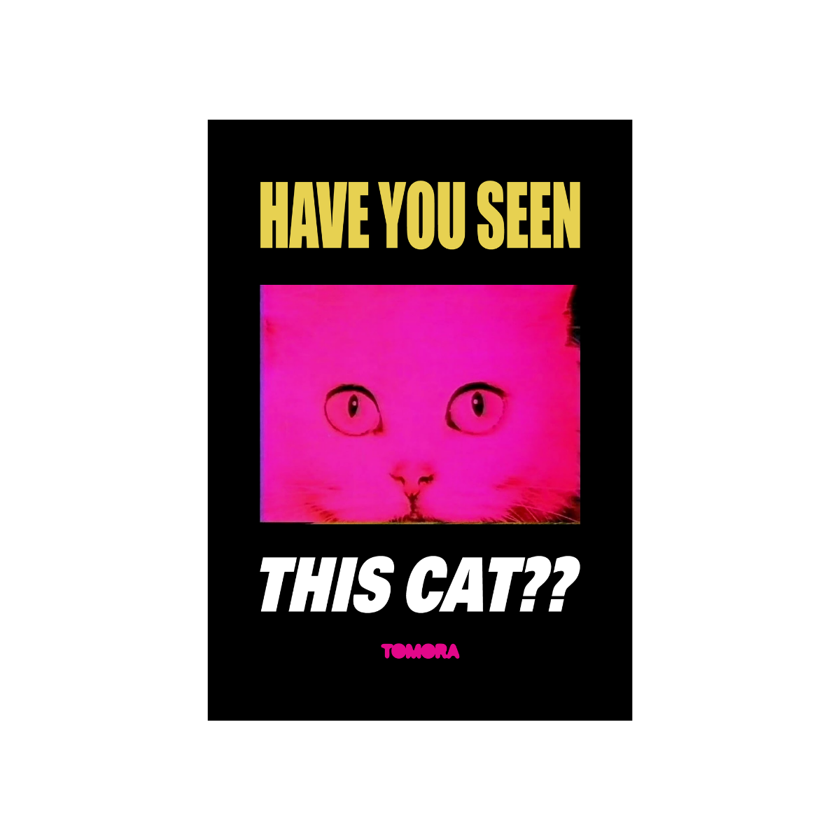 TOMORA - Have You Seen This Cat? Poster